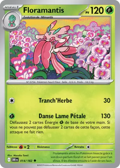 DRI 014/182 Floramantis