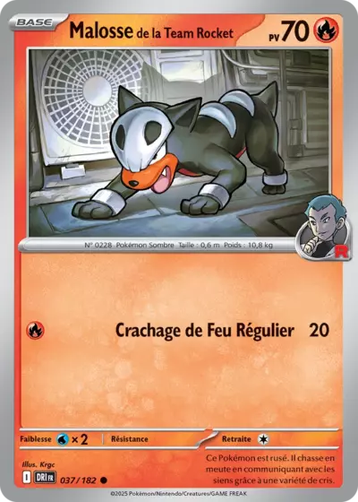 DRI 037/182 Malosse de la Team Rocket