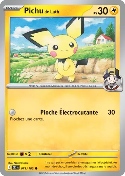 DRI 071/182 Pichu de Luth