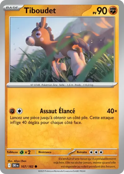 DRI 107/182 Tiboudet