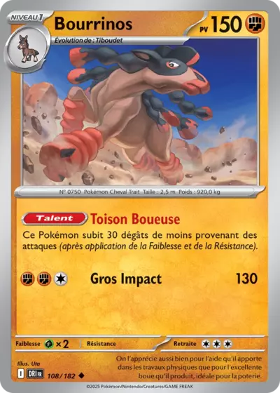 DRI 108/182 Bourrinos