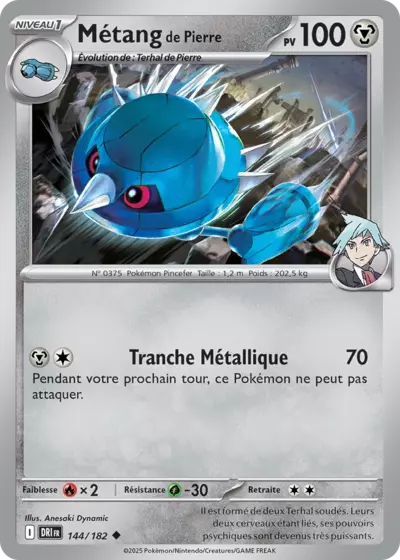 DRI 144/182 Métang de Pierre