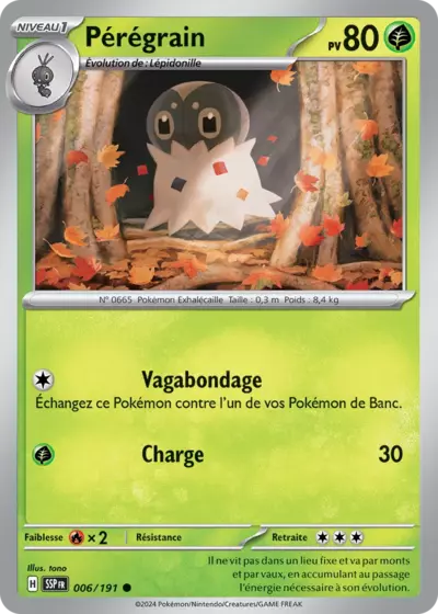 SSP 006/191 Pérégrain