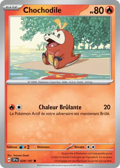 SSP 029/191 Chochodile