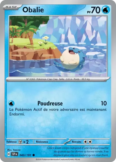 SSP 043/191 Obalie
