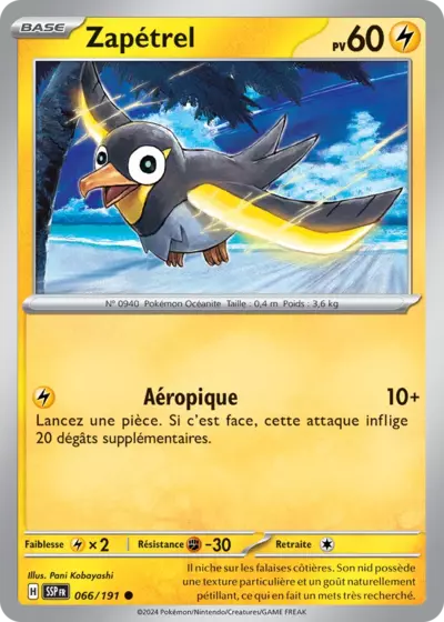 SSP 066/191 Zapétrel