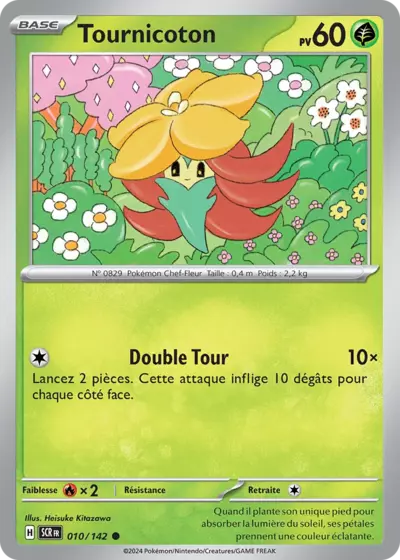 SCR 010/142 Tournicoton