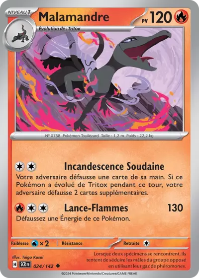 SCR 024/142 Malamandre