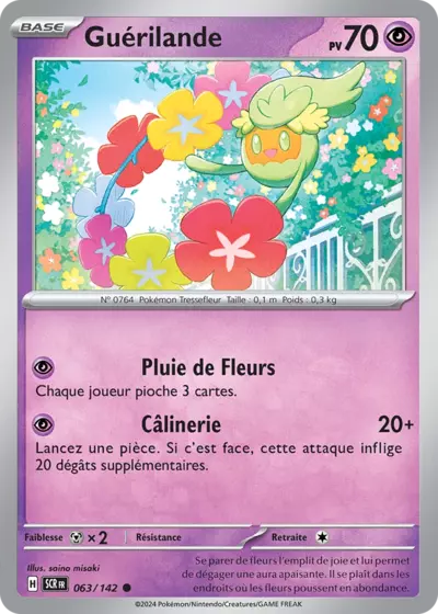 SCR 063/142 Guérilande