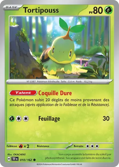 TEF 010/162 Tortipouss