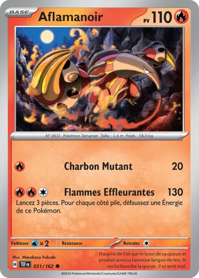 TEF 031/162 Aflamanoir