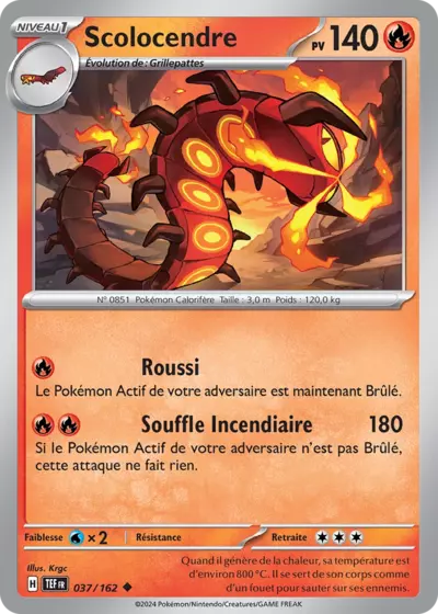 TEF 037/162 Scolocendre