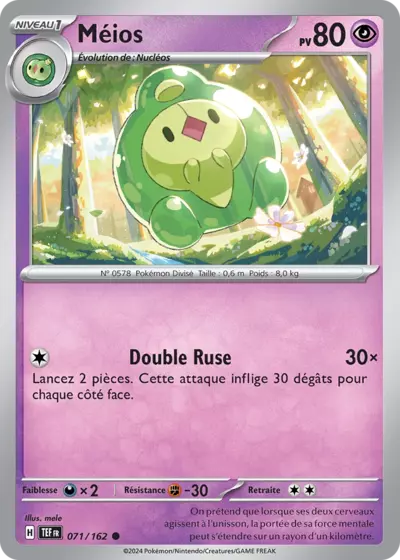 TEF 071/162 Méios
