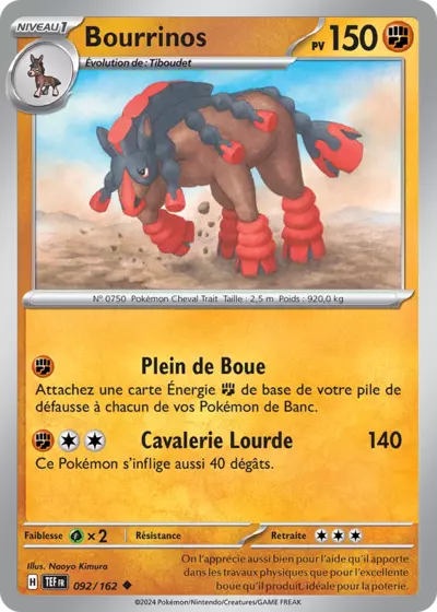 TEF 092/162 Bourrinos